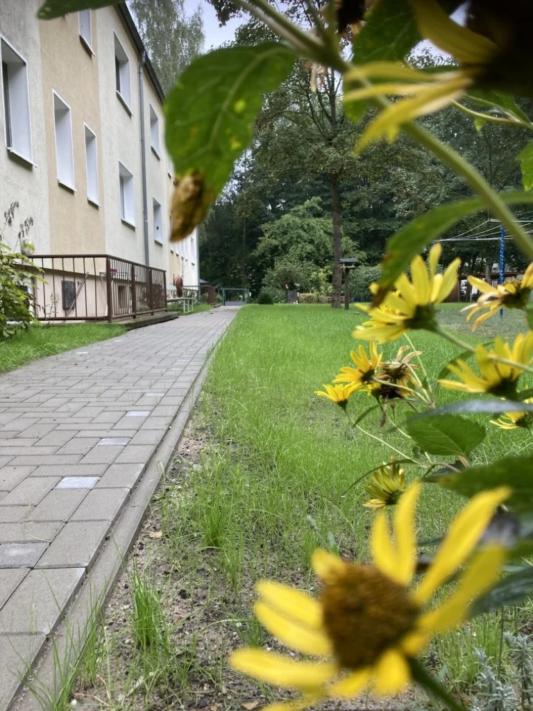 Neu angelegter Gehweg im Wohngebiet