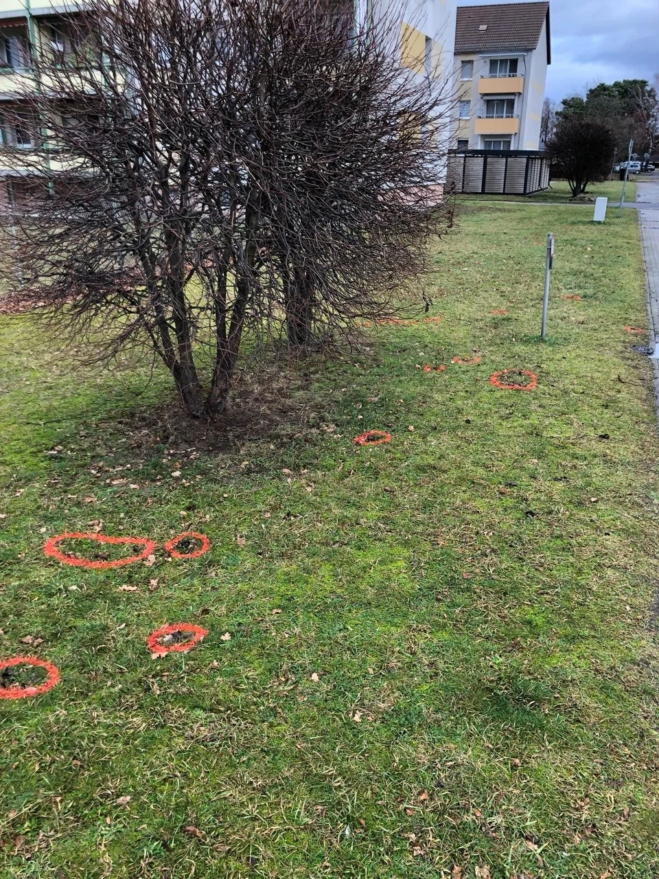 Hinweis gegen Hundekot im Fontaneviertel