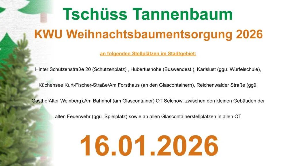 Hinweis zur Weihnachtsbaumentsorgung